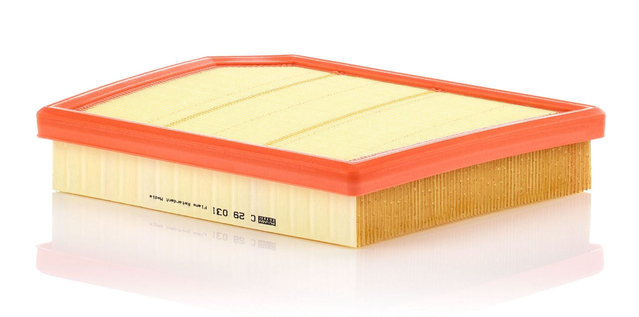 BMW X2 F39 M35 iX B48 Hava Filtresi | MANN C 29031