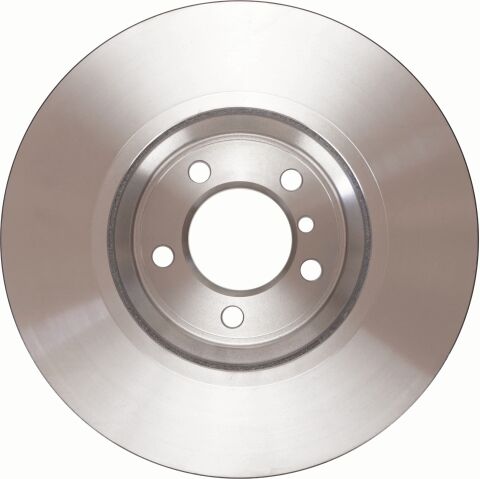 BMW 7 Serisi E65 730 d M57 Ön Fren Diski | TRW DF4349S