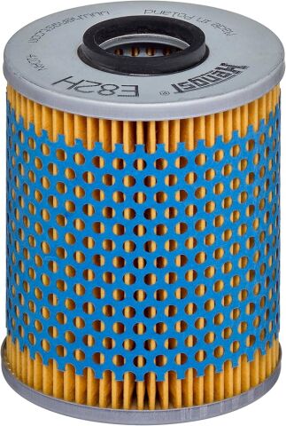 BMW 3 Serisi E36 M3 3.0 Cabrio S50 Yağ Filtresi | HENGST E82HD24