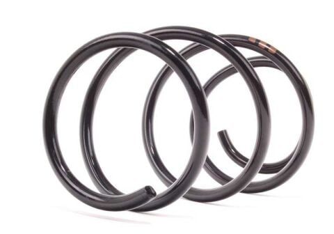 BMW 5 Serisi E39 Ön Helezon Yayı | FROW 8161233002