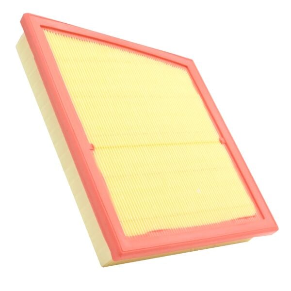 Mini Cooper F60 Hava Filtresi | MANN C22018