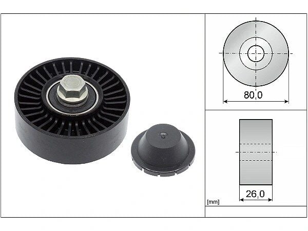 BMW 7 Serisi E65 730i V Kayış Gergi Rulmanı | INA 532 0512 10