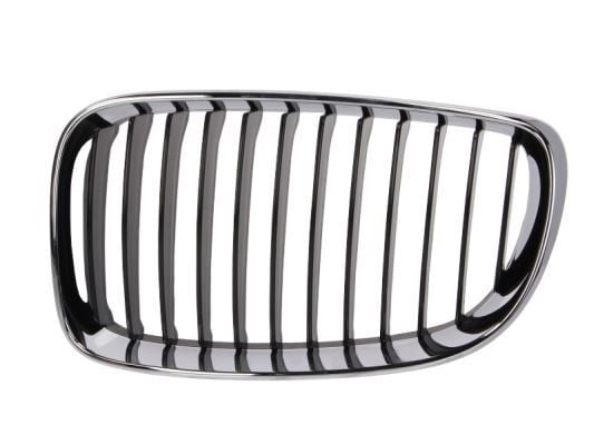 Bmw E87 Ön Krom Panjur Sol | WENDERPARTS B A51137166439