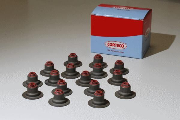 BMW 5 Serisi F10 N57 Supap Lastik Seti | CORTECO 49376044