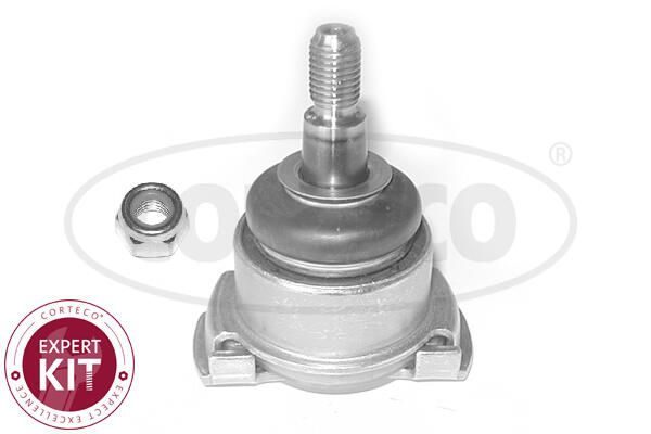 BMW 3 Serisi E36 Rotil | CORTECO 49398871