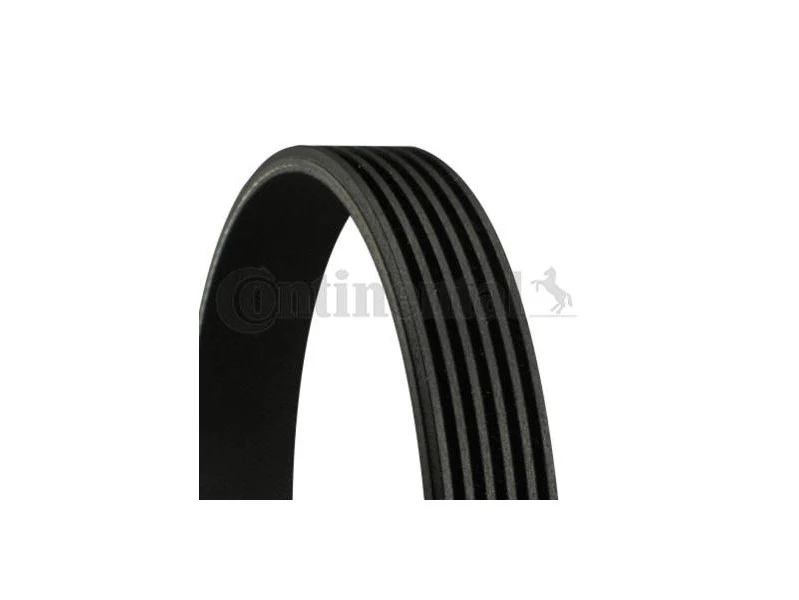 BMW E36 318is M44 Kanallı V Kayışı | CONTİNENTAL 6PK1733