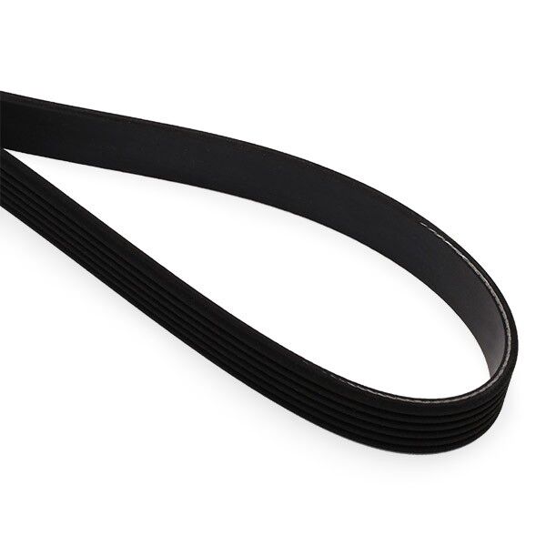 Mercedes W124 M102 V Belt | DAYCO 6PK2050