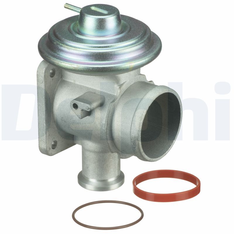 BMW 3 Serisi E46 M57 Egr Valfi | DELPHI EG10464-12B1