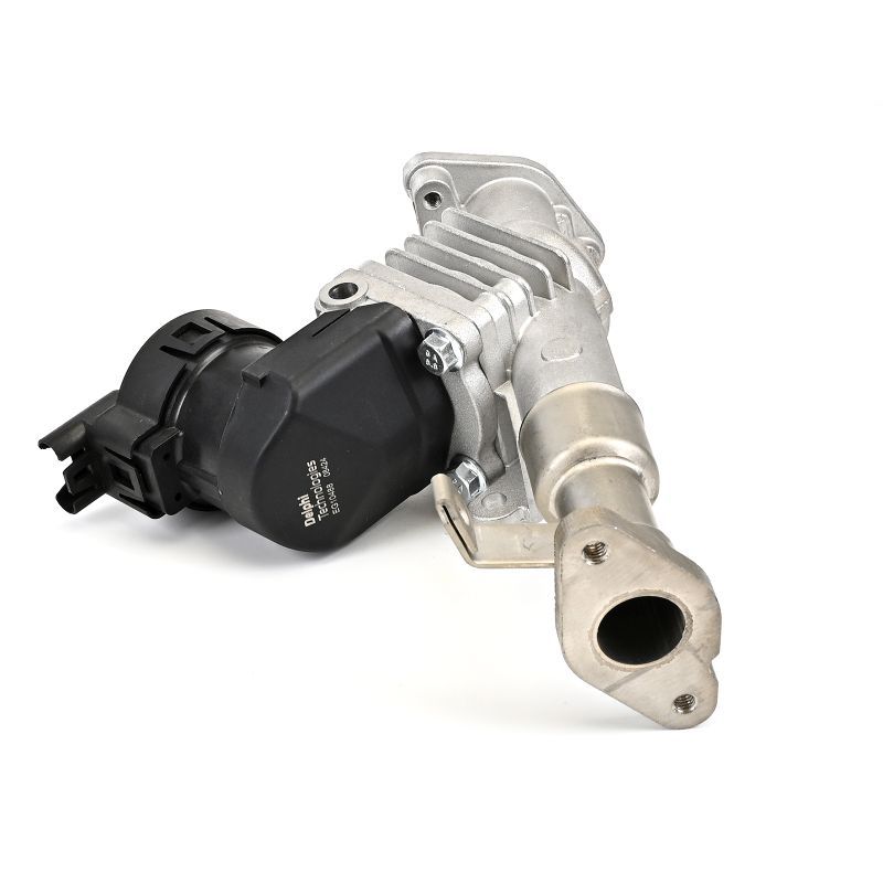 BMW 3 Serisi E90 N43 Egr Valfi | DELPHI EG10488-12B1
