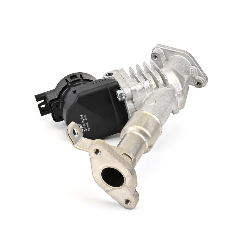 BMW 3 Serisi E90 N43 Egr Valfi | DELPHI EG10488-12B1