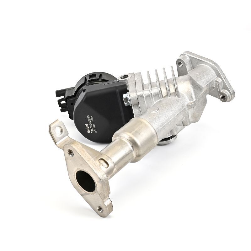 BMW 3 Serisi E90 N43 Egr Valfi | DELPHI EG10488-12B1