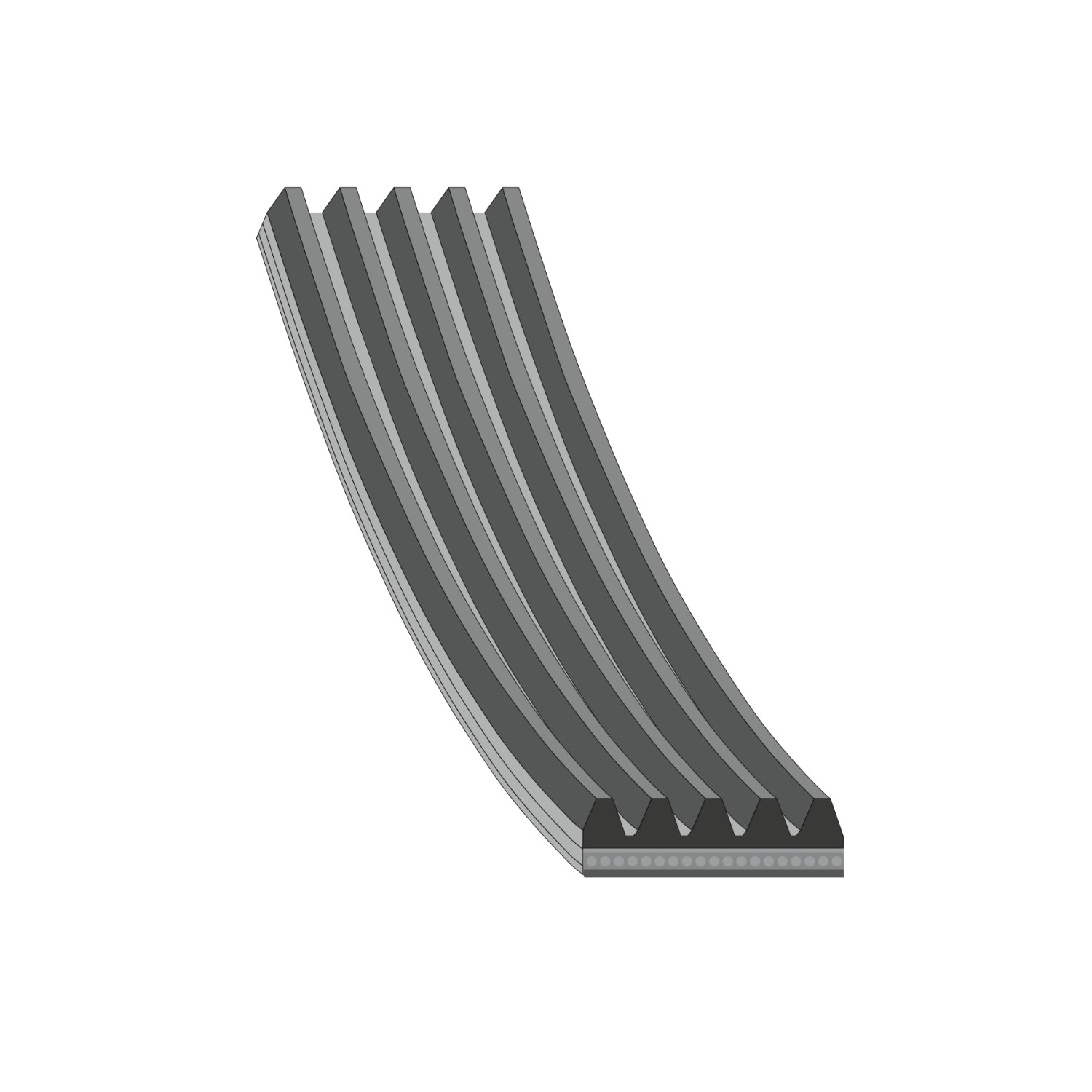 BMW 3 Series E36 Serpentine V Belt | FEBI 28886