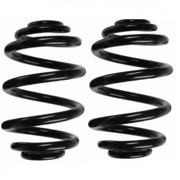 BMW E46 Front Coil Spring Set - FROW 8171233003