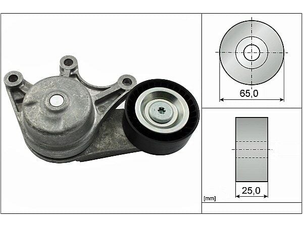 BMW F30 320d Complete V Belt Tensioner | INA