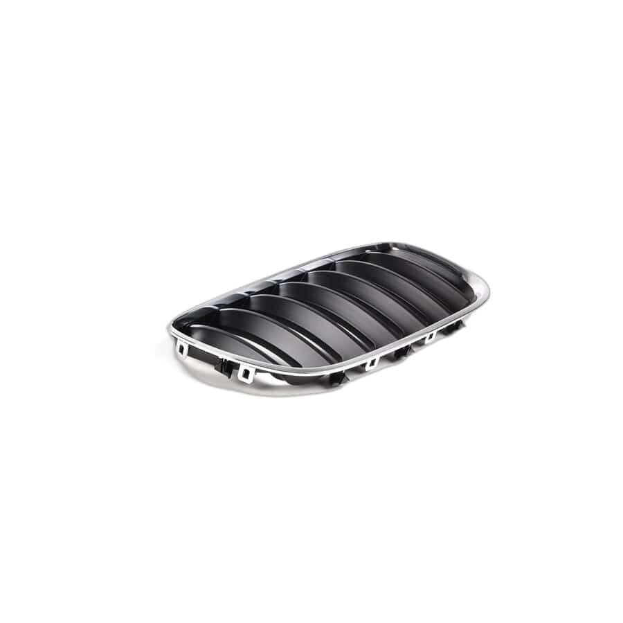 BMW 5 Series E60 Right Grille | ITHAL 51137113734
