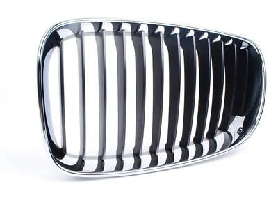 BMW 1 Series E87 Left Grille 2008-11 | ITHAL