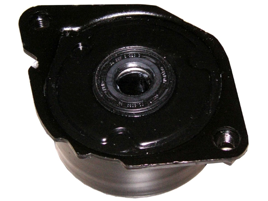 BMW 3 Touring E46 320d Tensioner Pulley | INA 534 0173 10