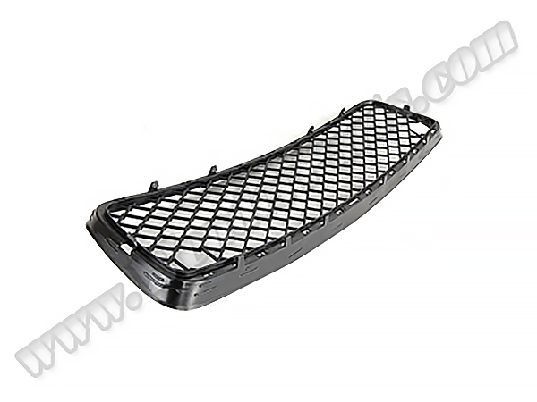 BMW X5 Serisi E70 2007-2013 Tampon Izgarası Ön Alt Orta 2007-09 | WENDER BA51117163956