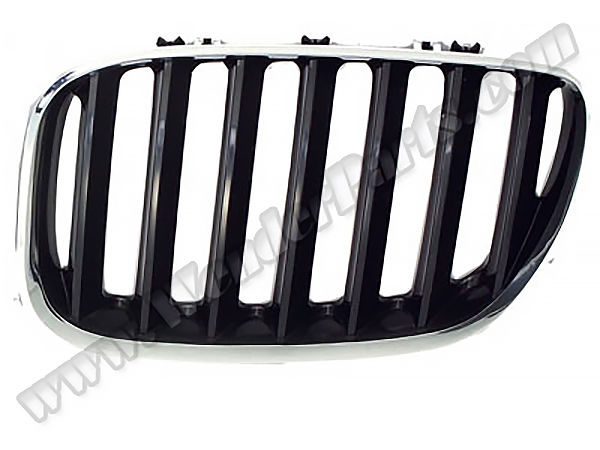 BMW X5 E53 Panjur Sol Krom/Siyah | WENDER BA51137113733
