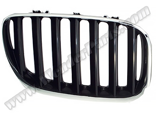 BMW X5 E53 Panjur Sağ Krom/Siyah | WENDER BA51137113734